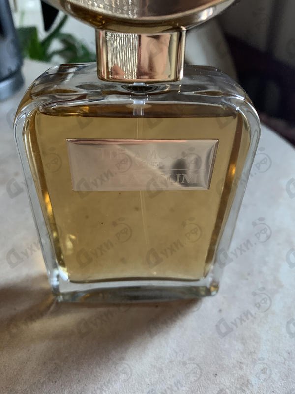 Парфюмерия The Parfum The Amour De Venise Купить The Amour De Venise от The Parfum