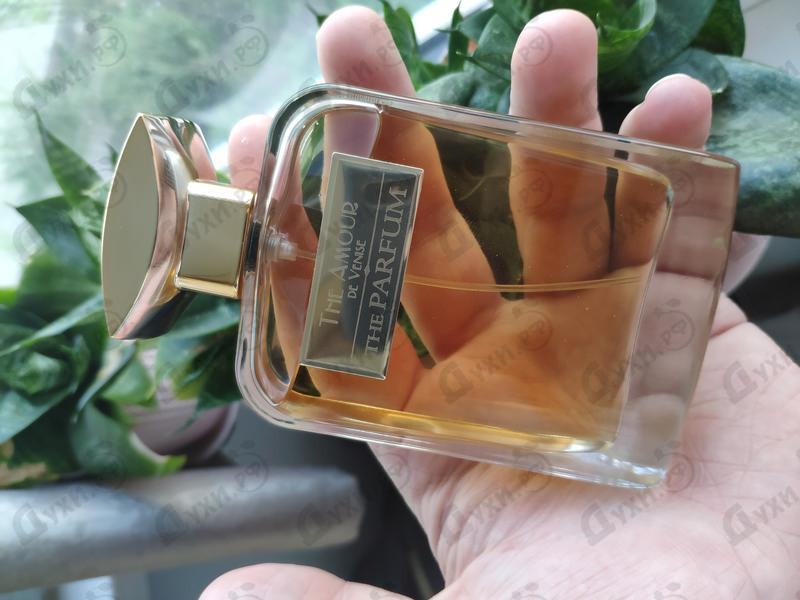 Купить The Amour De Venise от The Parfum