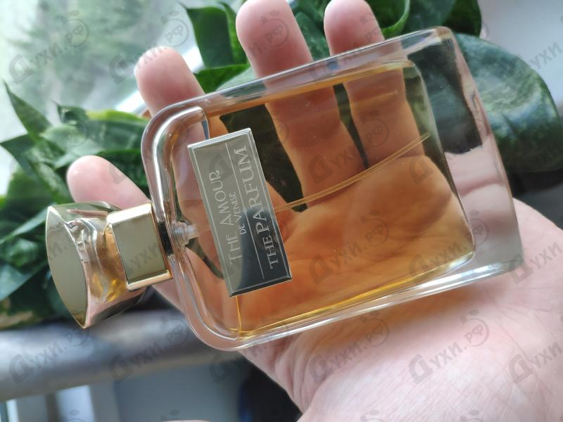 Парфюмерия The Amour De Venise от The Parfum Отзывы The Parfum The Amour De Venise