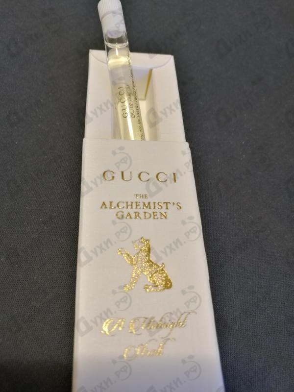 Духи A Midnight Stroll от Gucci Купить Gucci A Midnight Stroll