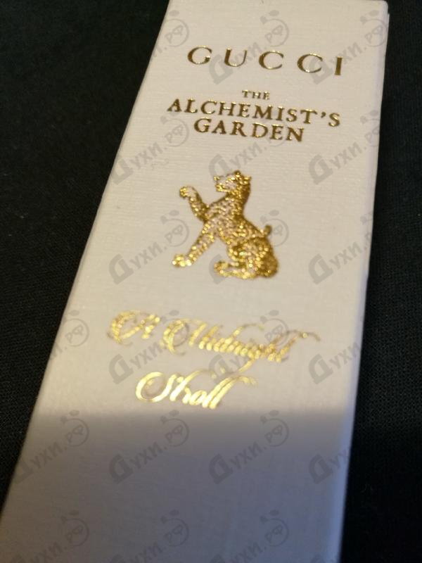 Отзыв Gucci A Midnight Stroll Парфюмерия A Midnight Stroll от Gucci