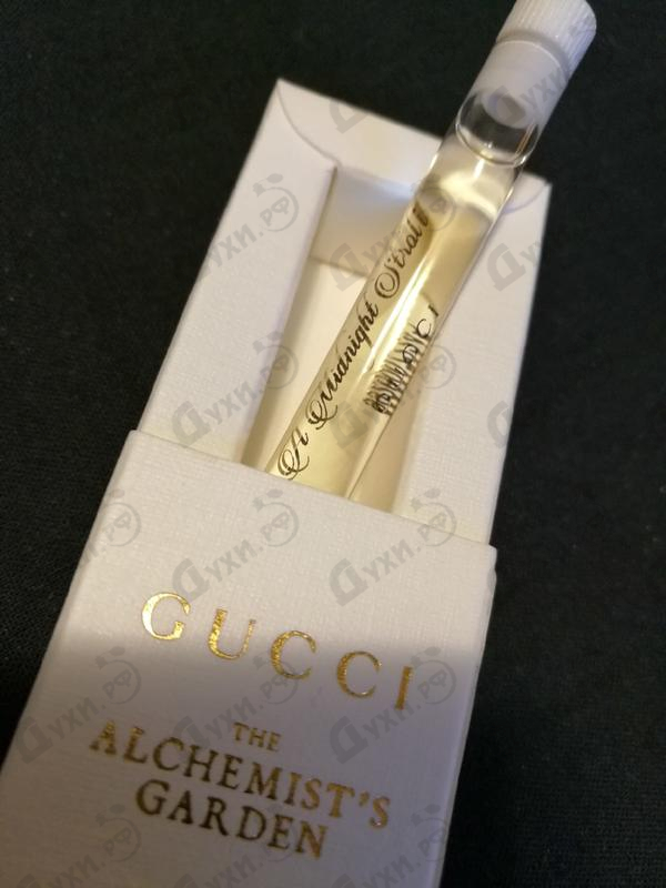 Парфюмерия A Midnight Stroll от Gucci Отзыв Gucci A Midnight Stroll