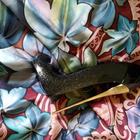 Отзыв Carolina Herrera Good Girl Supreme