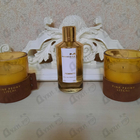 Отзыв Mancera Feminity