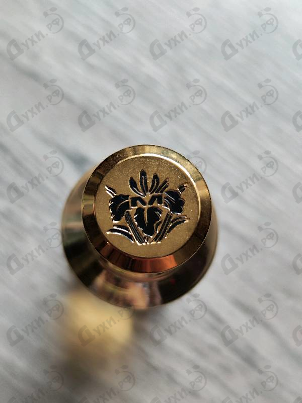 Парфюмерия Feminity от Mancera Отзыв Mancera Feminity