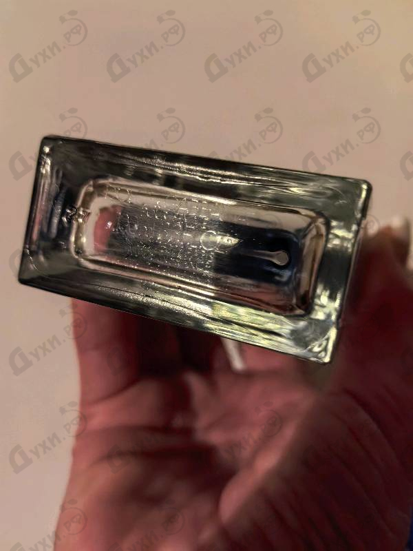 Парфюмерия Dolce & Gabbana Light Blue Love Is Love