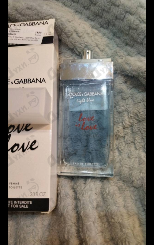 Купить Light Blue Love Is Love от Dolce & Gabbana