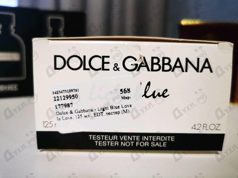 Купить Light Blue Love Is Love от Dolce & Gabbana