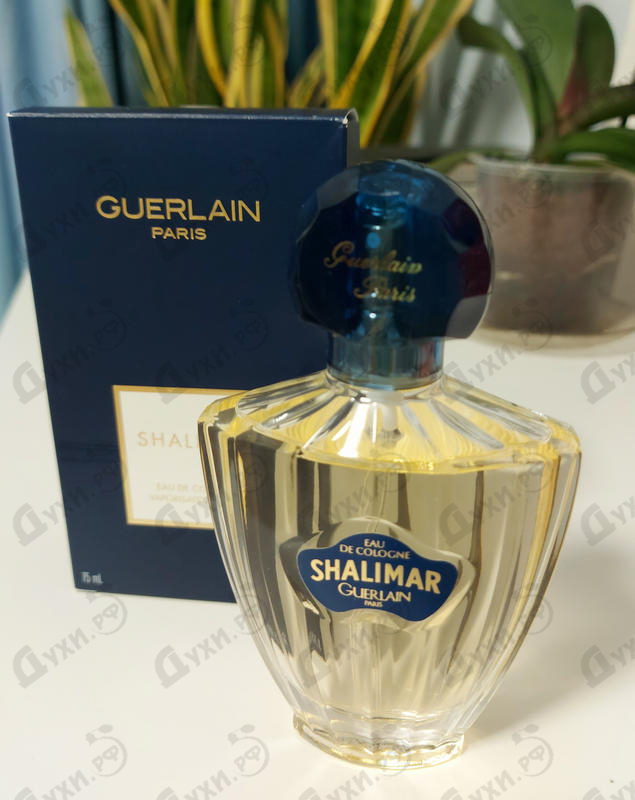 Духи Shalimar Eau De Cologne от Guerlain