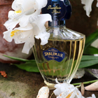 Отзыв Guerlain Shalimar Eau De Cologne