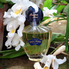 Парфюм Guerlain Shalimar Eau De Cologne