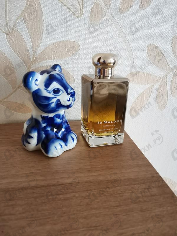 Парфюмерия Gardenia & Oud Absolu от Jo Malone Отзыв Jo Malone Gardenia & Oud Absolu