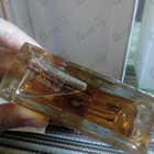 Отзывы Micallef The Exception 2 Haas Neige