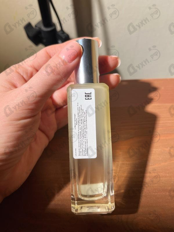 Духи Jo Malone Yuja Cologne Купить Yuja Cologne от Jo Malone