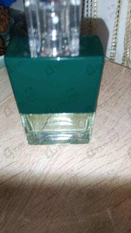 Отзывы Armand Basi L'Eau Pour Homme Intense Vetiver