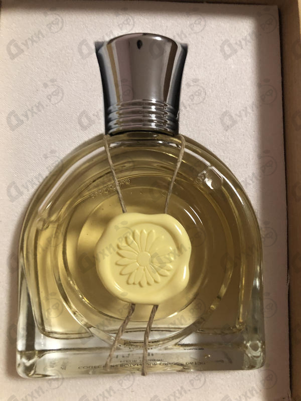 Купить Fleur Lumiere от Micallef Отзыв Micallef Fleur Lumiere