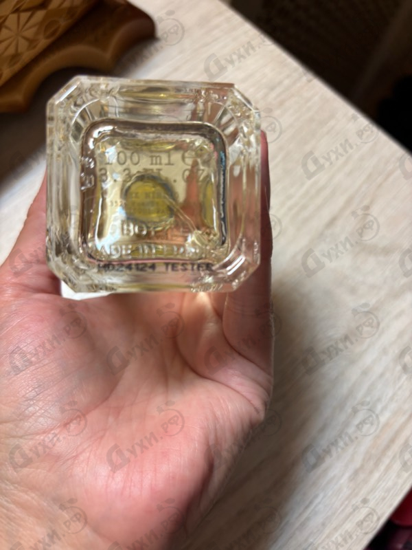 Купить Honore Delights от Ex Nihilo