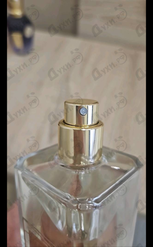 Купить Honore Delights от Ex Nihilo