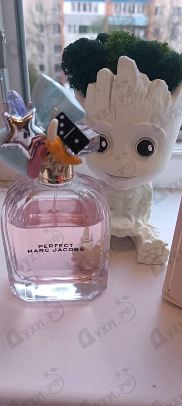 Купить Marc Jacobs Perfect