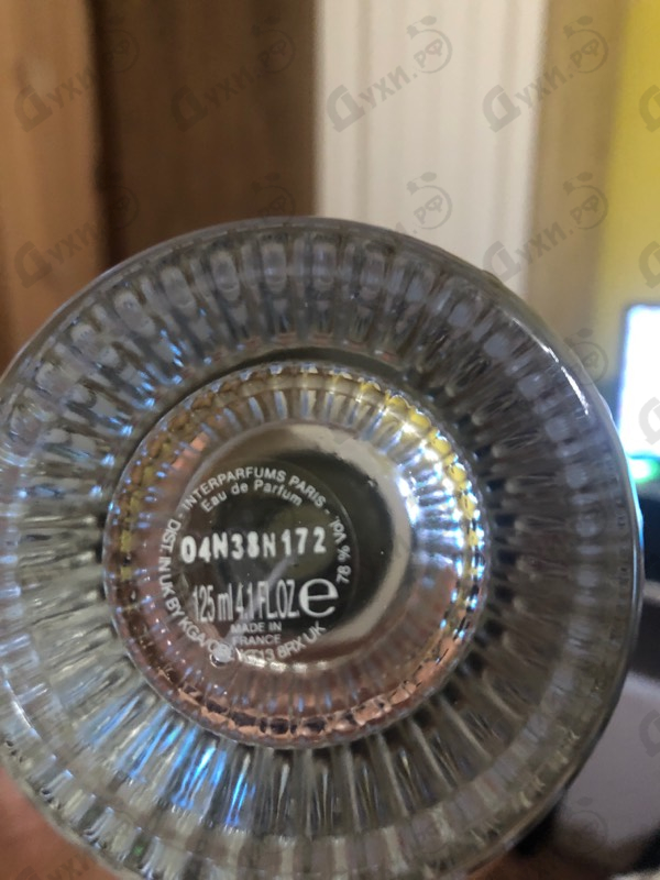 Купить Moustache Eau De Parfum (2018) от Rochas