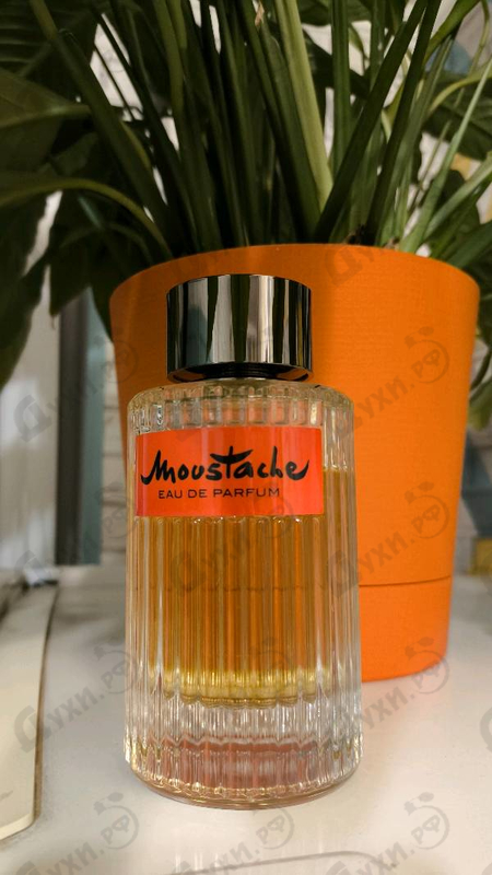 Купить Rochas Moustache Eau De Parfum (2018)