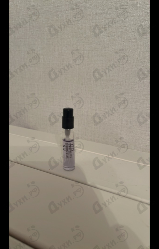 Купить Dusita Splendiris