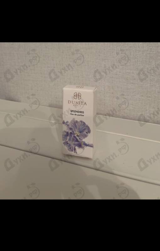 Купить Splendiris от Dusita