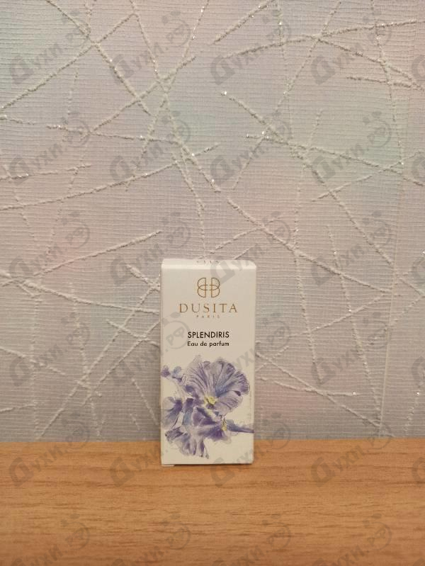 Купить Splendiris от Dusita