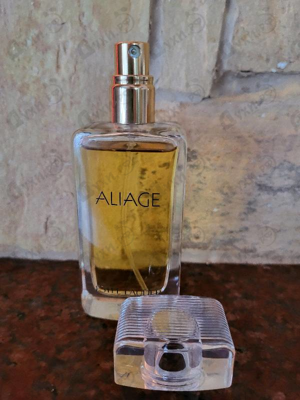 Купить Aliage от Estee Lauder