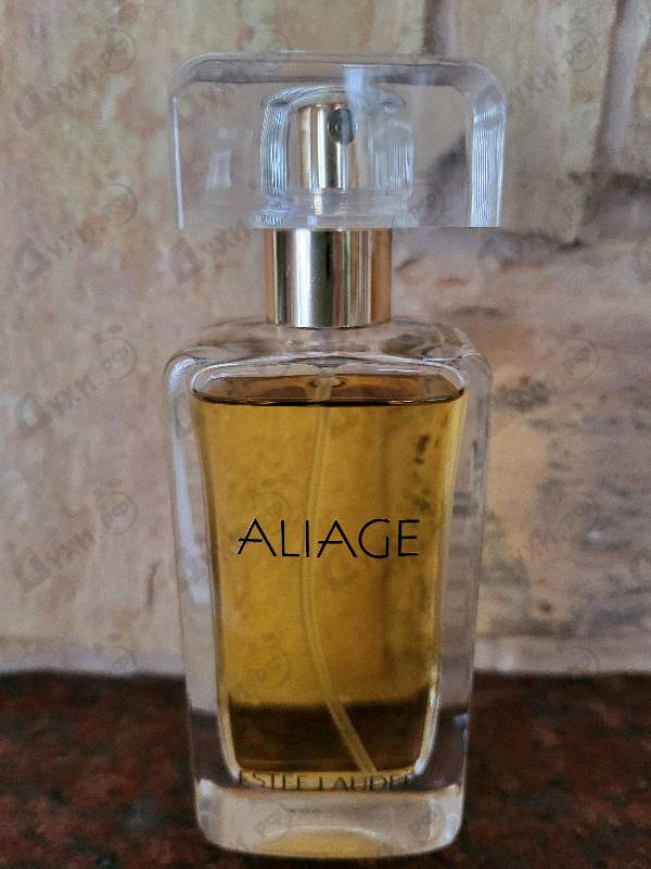 Отзыв Estee Lauder Aliage