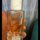 Отзыв Jil Sander Sun Summer Edition