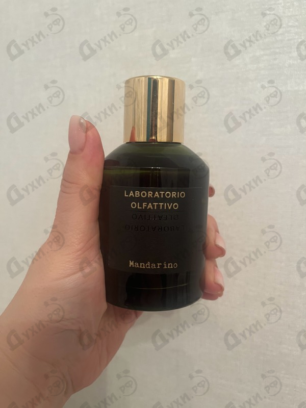 Парфюмерия Laboratorio Olfattivo Mandarino Парфюмерия Mandarino от Laboratorio Olfattivo