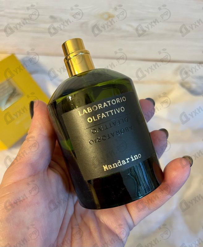 Купить Mandarino от Laboratorio Olfattivo Отзыв Laboratorio Olfattivo Mandarino