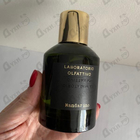 Духи Mandarino от Laboratorio Olfattivo