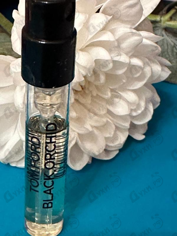 Купить Black Orchid Parfum от Tom Ford