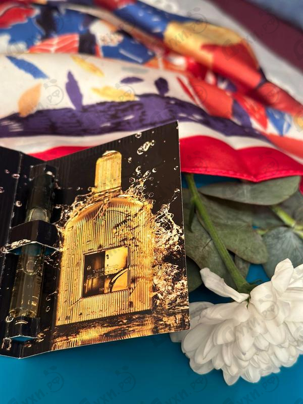 Купить Black Orchid Parfum от Tom Ford