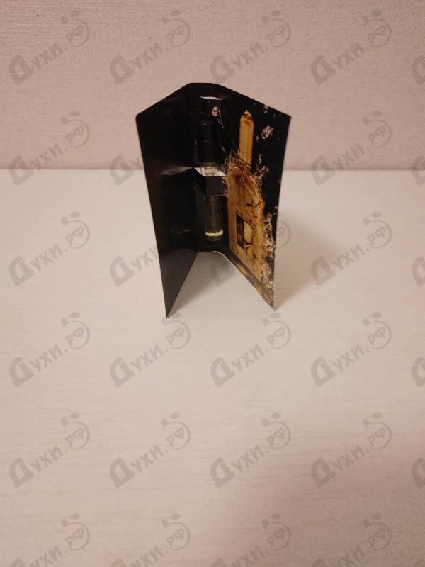 Купить Black Orchid Parfum от Tom Ford