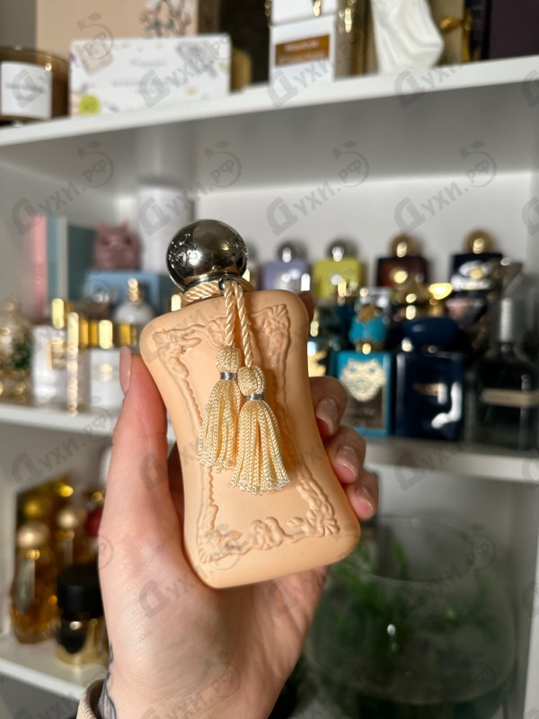 Купить Cassili от Parfums de Marly