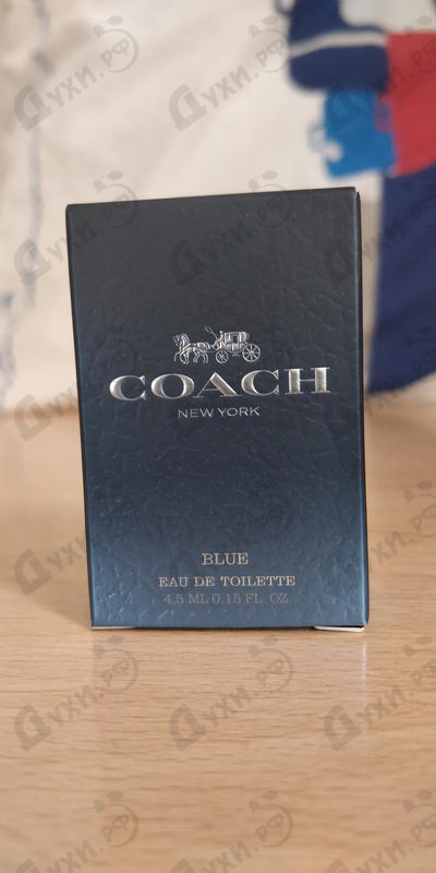 Купить Coach Blue от Coach