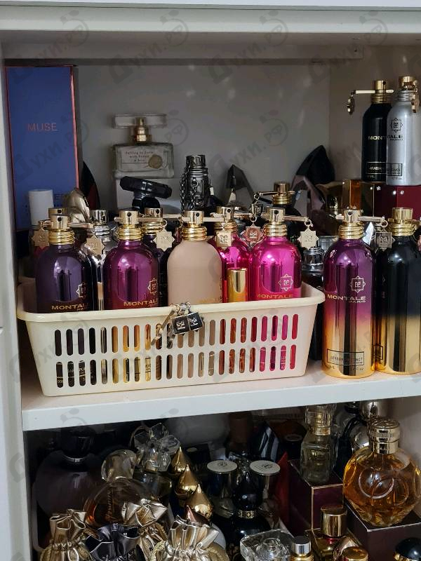 Парфюмерия Sensual Instinct от Montale