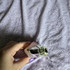 Духи Aura Mugler Eau De Parfum Sensuelle от Thierry Mugler