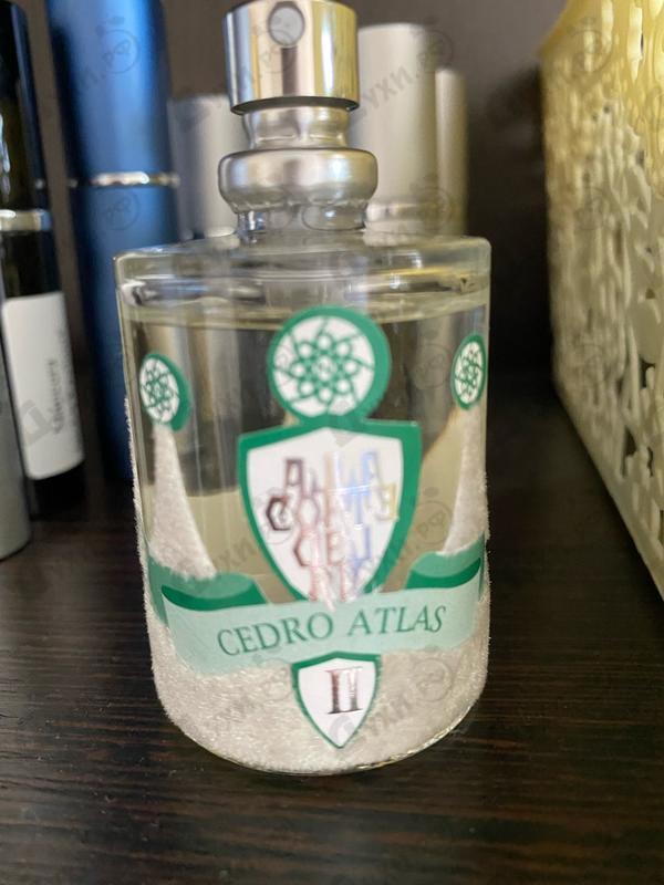 Духи Cedro Atlas от Nobile 1942 Отзывы Nobile 1942 Cedro Atlas