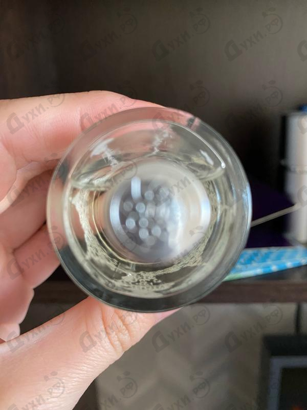 Купить Nobile 1942 Cedro Atlas Купить Cedro Atlas от Nobile 1942