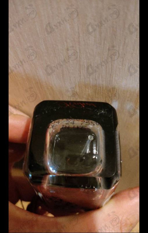 Купить Kohel от Arabesque