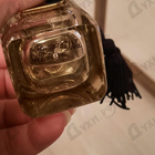 Отзывы Arabesque Safari