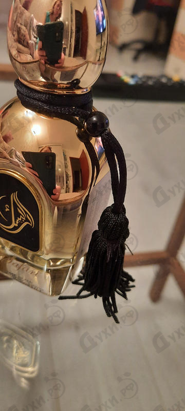 Парфюмерия Arabesque Safari Духи Safari от Arabesque