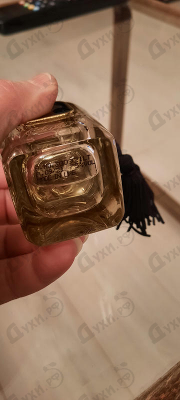 Парфюмерия Safari от Arabesque Отзыв Arabesque Safari