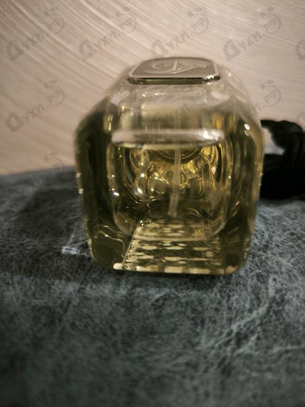 Купить Arabesque Glory Musk