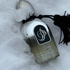 Парфюмерия Glory Musk от Arabesque