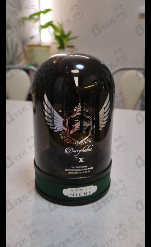 Отзывы Armaf Bucephalus X